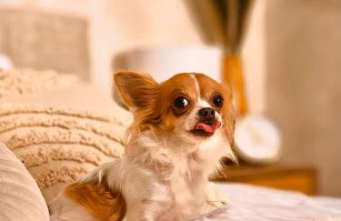 Apartamenty Paryskie Old Town View - Foto 73