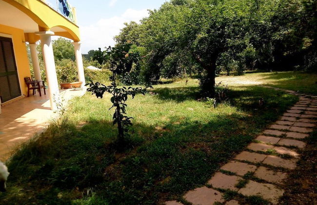 Agrinaturismo - Foto 22