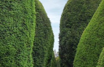 Bright & Beautiful Open Plan Coach House Painswick - Foto 52