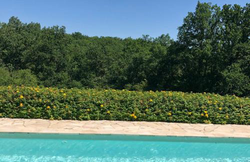 Les choses de la vie - Foto 39