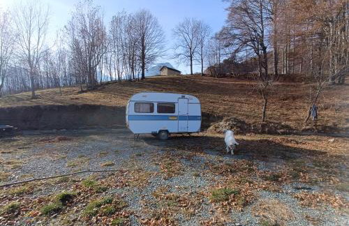 Rifugio Futopia - start here your journey to the discovering of the Alpi Graie - Foto 5