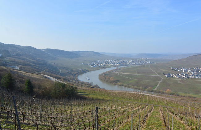 Peaceful Holiday Home in Rascheid near Forest - Foto 40