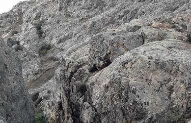 Las Eras 2 - Foto 43