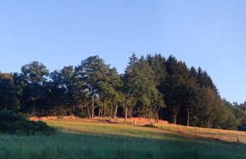 Le Pas du Loup - Photo 6