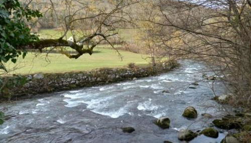 Appartement Cosy proche St lary et Loudenvielle - Foto 3, Garden
