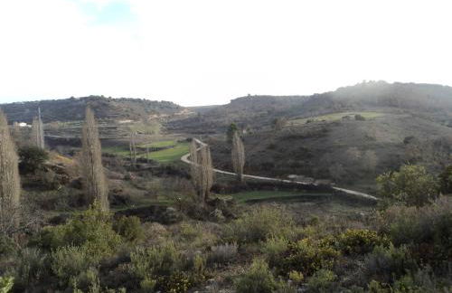 El Horno de Leopoldo - Foto 44