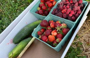 Welcome to our Retreat Haven in Warwick, NY - Foto 8