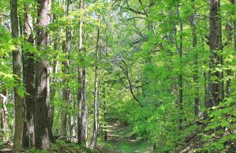 Fairhill Farm Country Vacation Rentals - Foto 25