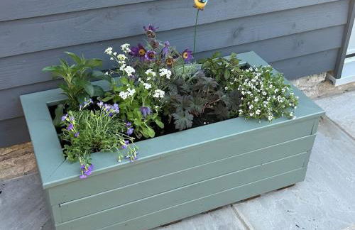 The Banditry, Glastonbury - Photo 18