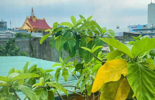 Homestay Co Gai Viet - Foto 36