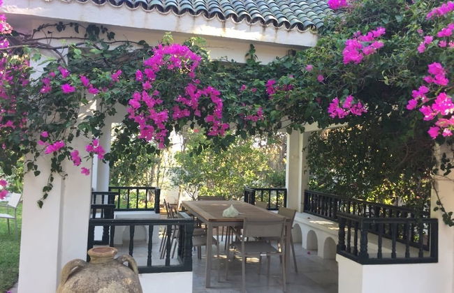 Dar Miramar - Foto 50