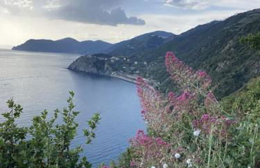 AL GEKO DEL GROPPO ☆ Breath & Relax ☆ 5 TERRE - Foto 2