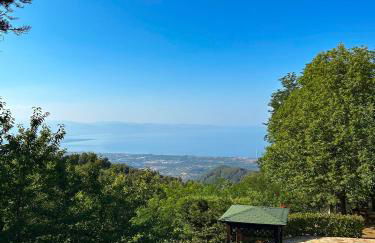 Villa Curcio casa vacanze - Photo 11