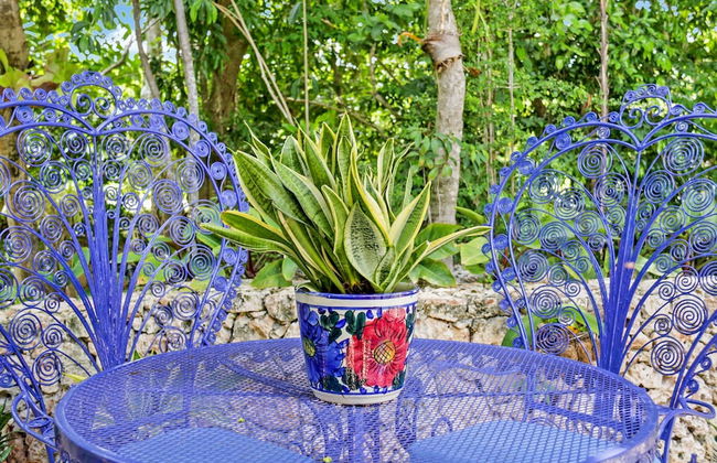 Beautiful Villa Tortuga at Puntacana Resort Club Pool Garden Golf Cart Maid - Photo 35