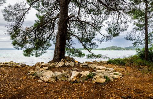 Sydney Apartment - Photo 50