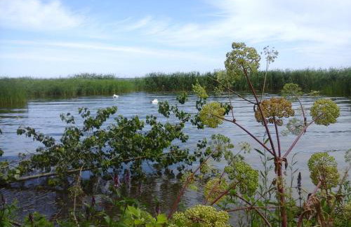 Vier Winde Usedom - Ferienanlage - Foto 21