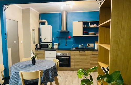 Nice appartement close to CHU - Foto 12