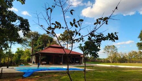 Chacara castanheira - Foto 4