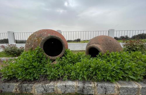 Vivienda Turistica de Alojamiento Rural El Jaral - Foto 20