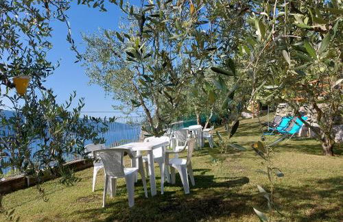 Ulivi sul Garda Garden by Gardadomusmea - Foto 71