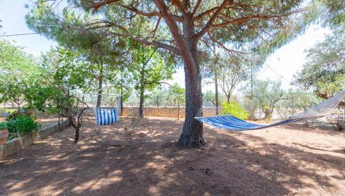 Pinest - Foto 2, Garden