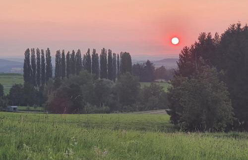 Ferienwohnung Rabus - Foto 4