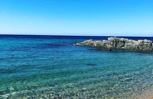 Cara Catherine - Foto 20