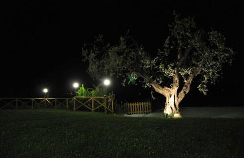 Agriturismo MonteMaggio - Foto 53