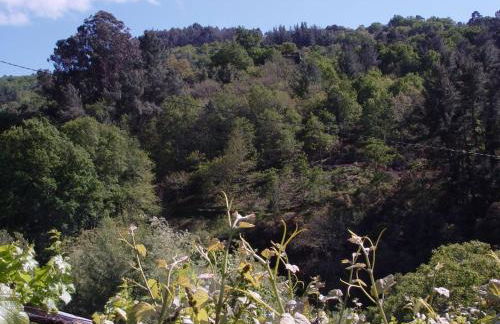 Casa en Viñoas (Ribeira Sacra) - Foto 22