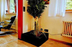 Schöne EinliegerWhg (74m²) in Villa mit Traumlage - Foto 25