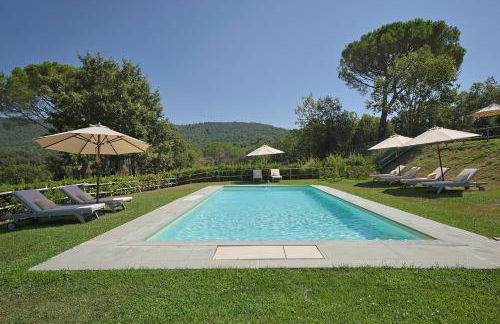 Gio Toscana - Foto 42