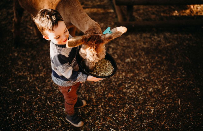 Margaret River Holiday Cottages - Photo 71