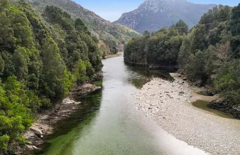 1 Bedroom Lovely Apartment In Ghisoni - Foto 15