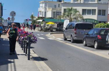 Les Bleuets - Foto 20