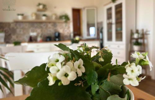 Ulivi di Cleo - Foto 38