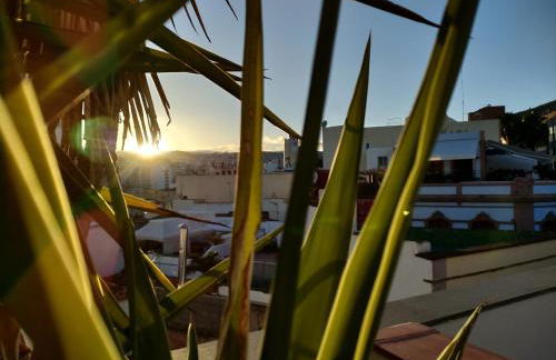 Terraza del Atlántico, un oasis en la ciudad - Foto 13