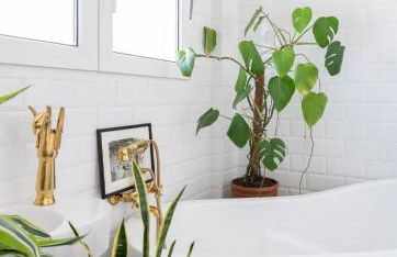 La Casa del Gallo - Foto 25