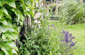 Landlebenliebe - Foto 45