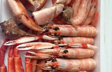 Apartamento Viveiro, Terraza Grande, 2 dormitorios 2 baños, piscinas, parking, tenis, club social - Foto 39