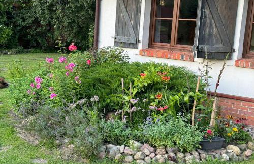 Krzywiec - Pasieka na Szlaku Kopernika - Foto 11