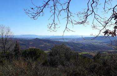 Il vecchio frantoio - Foto 40