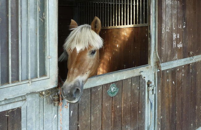 Ferienhaus in Hechthausen - Foto 31