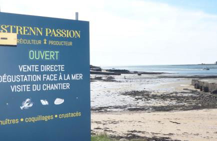 Saint Philibert - Port Gwen 8, maison 6 pers face a la mer - Foto 42