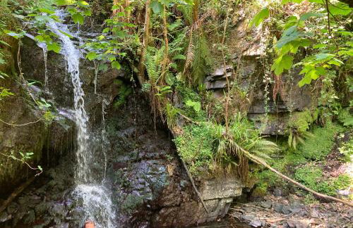 Wood Cabin & 4 Large Bell Tents - Hapus Hideaway - Foto 18