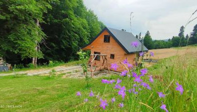 Chata DUDZIAKÓWKA - Foto 3, Garden