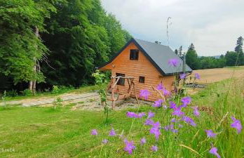 Chata DUDZIAKÓWKA - Foto 3