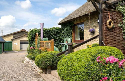 Ferienwohnung am Eiderdeich - Photo 16