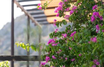 Agrilia Koromili Retreat - Foto 21