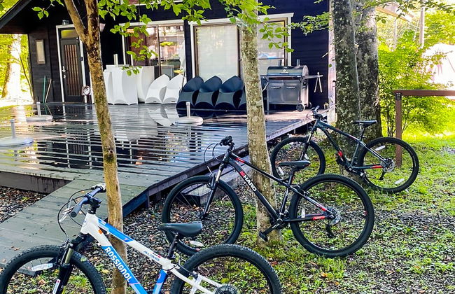 Forest Villa Yamanakako - Foto 17