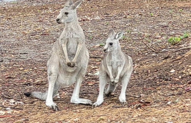 Mansfield Country Resort - Photo 23